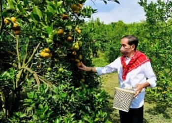 Desa di Tujuh Kecamatan Gali Potensi SDA