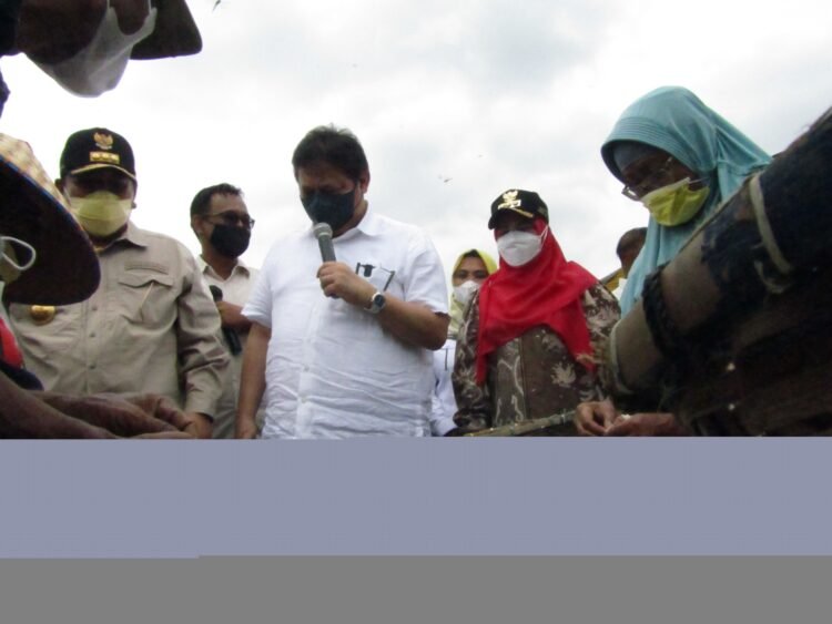 Menko Airlangga Blusukan ke Pulau Pasaran