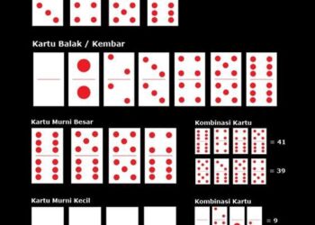 Lima Penjudi Kartu Domino Ditangkap Polisi