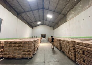 Tim Satgas Pangan Polda Lampung menemukan ratusan ribu liter minyak goreng tersimpan di gudang milik CV Sinar Laut yang berada di kelurahan Gubak, Kecamatan Panjang, Bandar Lampung, Selasa, 22 Febuari 2022. (Lampost.co/Atika Oktaria)