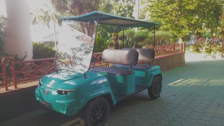 Penggunaan Mobil Listrik Harus Masif di Seluruh Indonesia/ dok