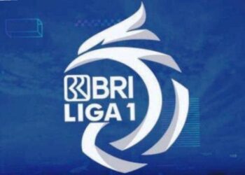 DOK BRI LIGA 1