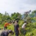 angin kencang rusak