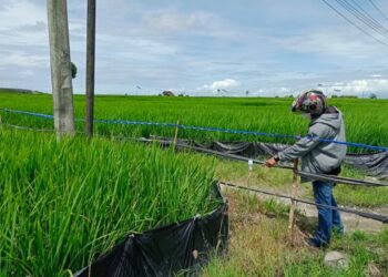 Kemendagri Gelar Asistensi Pembuatan Peta Batas Desa