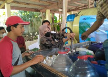 distribusi minyak goreng curah