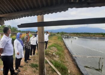 pengembangan kawasan