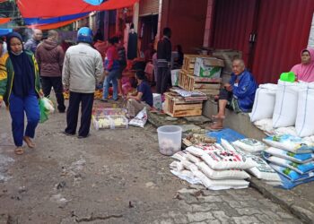 harga kebutuhan pokok di liwa