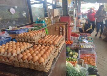 Bantuan Perlindungan Sosial Atasi Kenaikan Komoditas Pangan