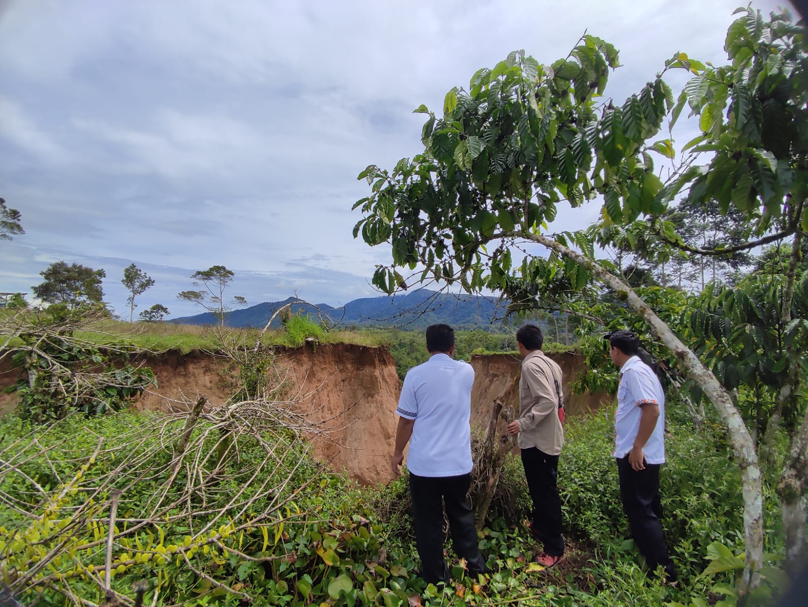 Tim BPBD Lambar tinjau lokasi longsor di Pekon Bandarbaru, Kecamatan Sukau. (dok. BPBD)