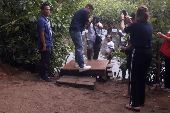 Penanaman mangrove. (MI)