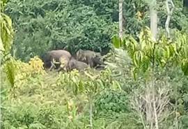 Ilustrasi. (LAMPOST)