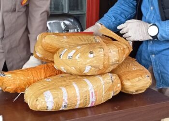 Barang bukti 11 paket besar ganja kering seberat 11 kg yang diamankan dari tangan pelaku. Satnarkoba Polres Lampung Tengah kini sedang mengembangkan kasus penangkapan kurir narkoba antarprovinsi tersebut.
LAMPUNG POST/RAEZA HANDANNY AGUSTIRA