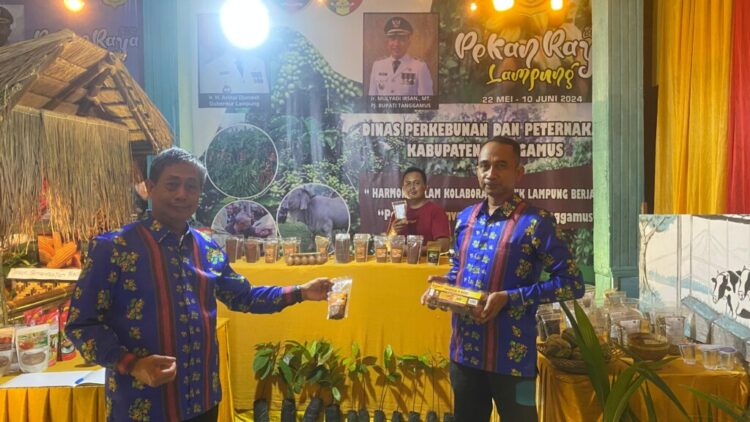 05DAE-FBNATIVE TANGGAMUS-31MEI(NEW)