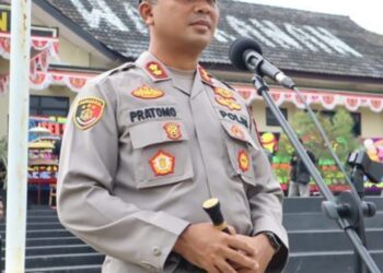 G JPEG v62), quality = 82