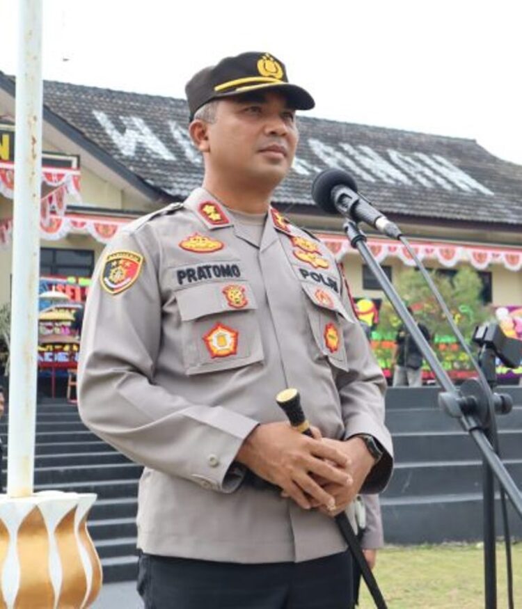 G JPEG v62), quality = 82