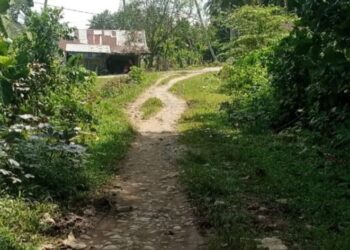 JALAN DESA. Salah satu akses jalan pertanian Desa Pasar Ipu, Kabupaten Mukomuko membutuhkan pembangunan untuk kelancaran aktivitas pertanian bagi warga setempat. Dok/Antara