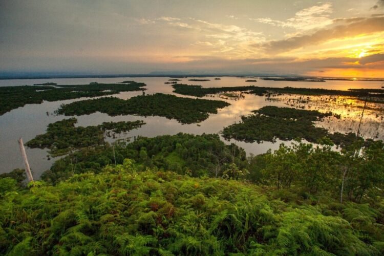 Danau yang berada di Bukit Tekenang yang ada di Taman Nasional Danau Sentarum, Kapuas Hulu, Kalimantan Barat. Dok/FB-Hutan Indonesia