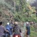 Pohon Tumbang Timpa Tiang Listrik akibat Hujan Deras