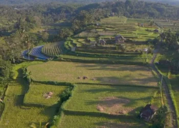 DESA BRILIAN. Desa Angseri, Kecamatan Baturiti, Kabupaten Tabanan, Bali, peraih penghargaan Desa BRILiaN dengan tata kelola terbaik. Dok/Antara