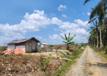 Warga Masih Duduki Lahan HGU PT SIP