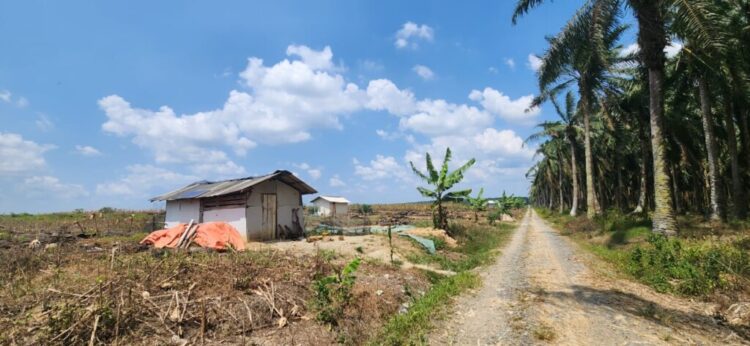 Warga Masih Duduki Lahan HGU PT SIP