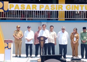 Efek Ganda Pembangunan PSN