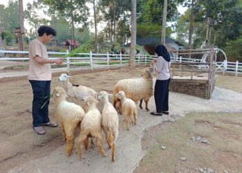 Keseruan Rekreasi di Agrowisata