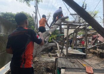 Waspada Banjir dan Pohon Tumbang