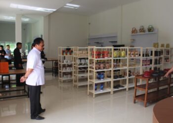 Nukman tinjau gedung promosi sentra IKM