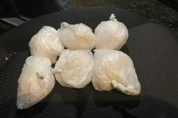 barang bukti sabu-sabu1