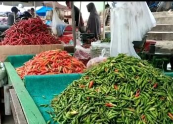 Kendalikan Harga Bumbu Dapur