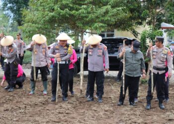 gerakan tanam pangan polres lambar