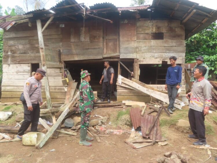 Kawanan Gajah Liar Rusak Belasan Rumah Warga di Talang Sindang