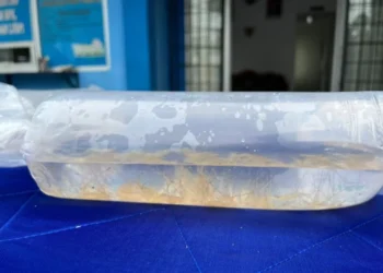 BBL yang siap diselundupkan