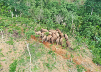 05DAE-FA1 (foto pendamping HL)-03JAN