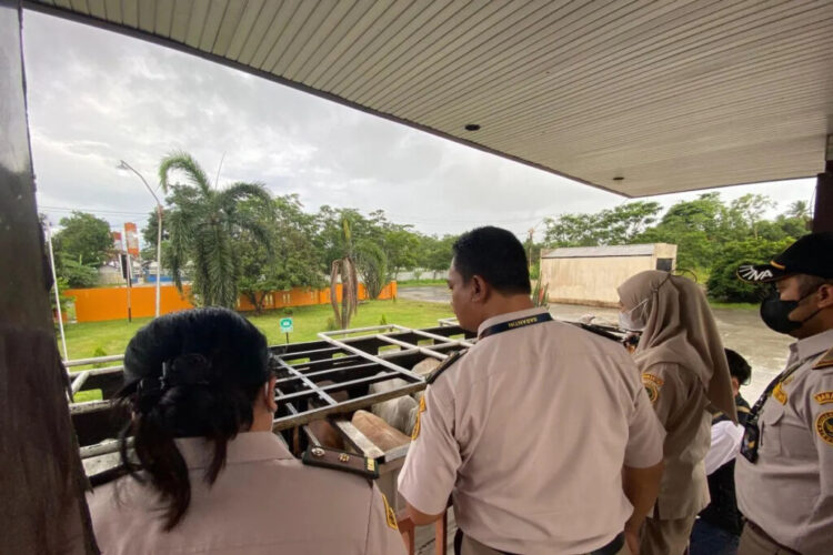 05DAE-FA1 (foto pendamping HL)-09JAN