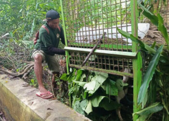 05DAE-FA1 (foto pendamping HL)-14JAN