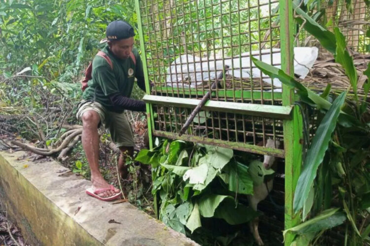 05DAE-FA1 (foto pendamping HL)-14JAN