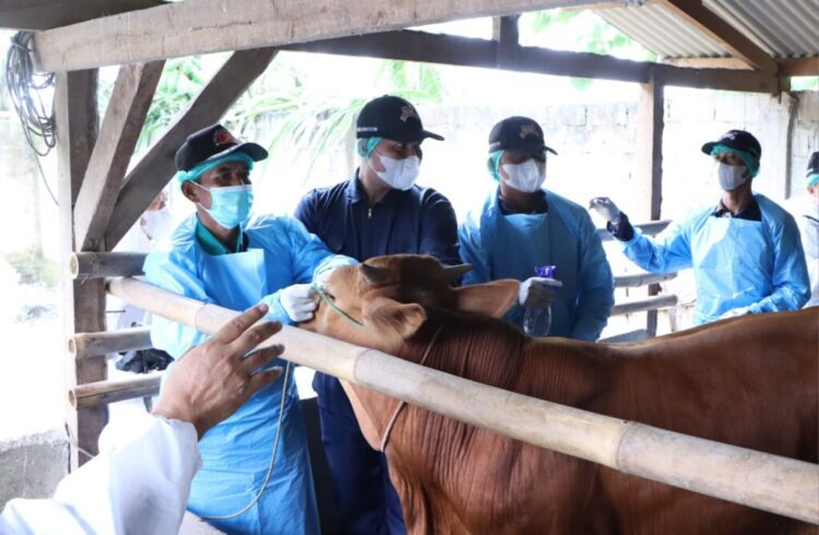 05DAE-FA1 (foto pendamping HL)-18JAN