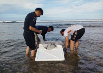 05DAE-FA1 (foto pendamping HL)-06FEB