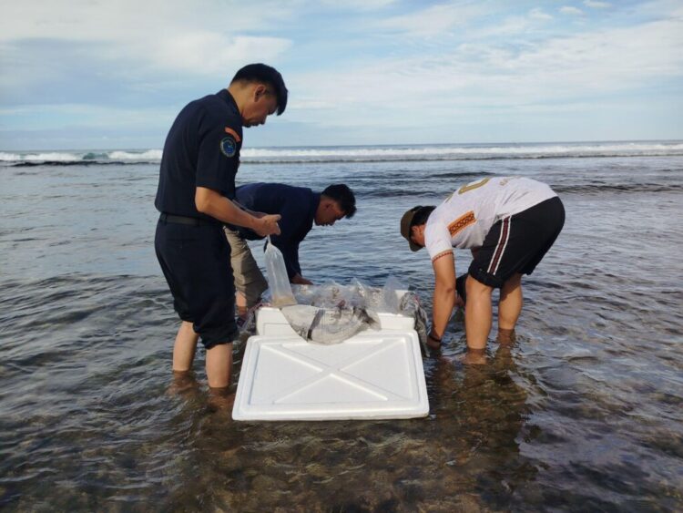 05DAE-FA1 (foto pendamping HL)-06FEB