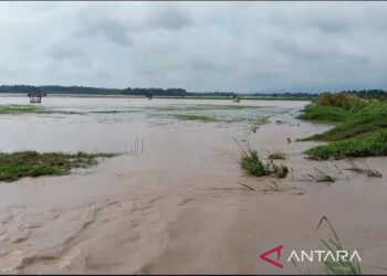 05DAE-FA1 (foto pendamping HL)-12FEB