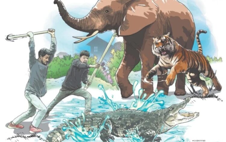 Ilustrasi konflik manusia dan satwa. Dok Lampung Post
