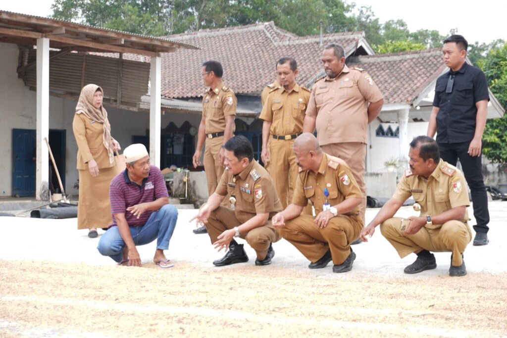 Kunjungi Pabrik Padi, Firsada Pastikan Stok Gabah Melimpah