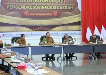 Pemprov Lampung Ikuti Rakor Pengendalian Inflasi Daerah Bersama Mendagri
