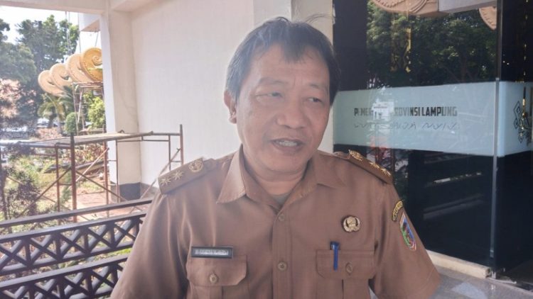 Jelang Panen Raya, Pemprov Lampung Tunggu Keputusan HPP Gabah dari Pemerintah Pusat