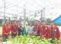 Mahasiswa Teknik Elektro Teknokrat Terapkan PLTS di Kebun Hidroponik, Dukung SDGs dan Pertanian Hemat Energi