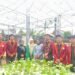 Mahasiswa Teknik Elektro Teknokrat Terapkan PLTS di Kebun Hidroponik, Dukung SDGs dan Pertanian Hemat Energi