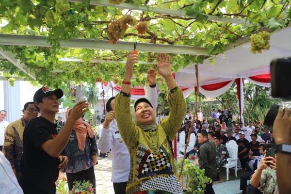 Rektor Hadiri Peresmian Pringsewu sebagai Kabupaten Sentra Anggur Lampung