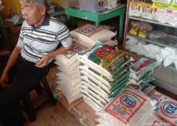 Harga Beras di Pesisir Barat Sentuh Rp17 Ribu Per Kilogram, Ini Penyebabnya